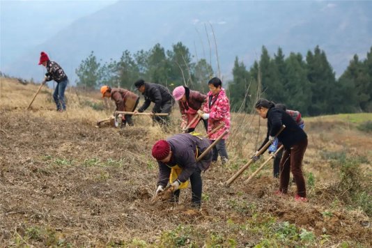 云阳县人民政府