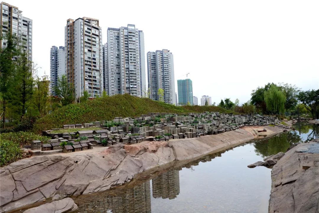 10260429_e323ed97-0b88-449d-9020-20479e4ee699.jpg